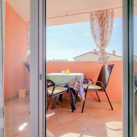 Stelia Daire Novigrad Istria Dış mekan fotoğraf