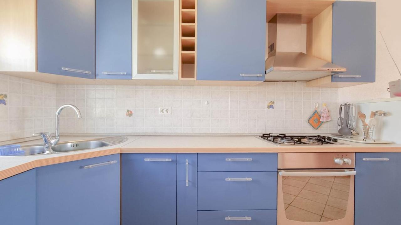 Stelia Daire Novigrad Istria Dış mekan fotoğraf