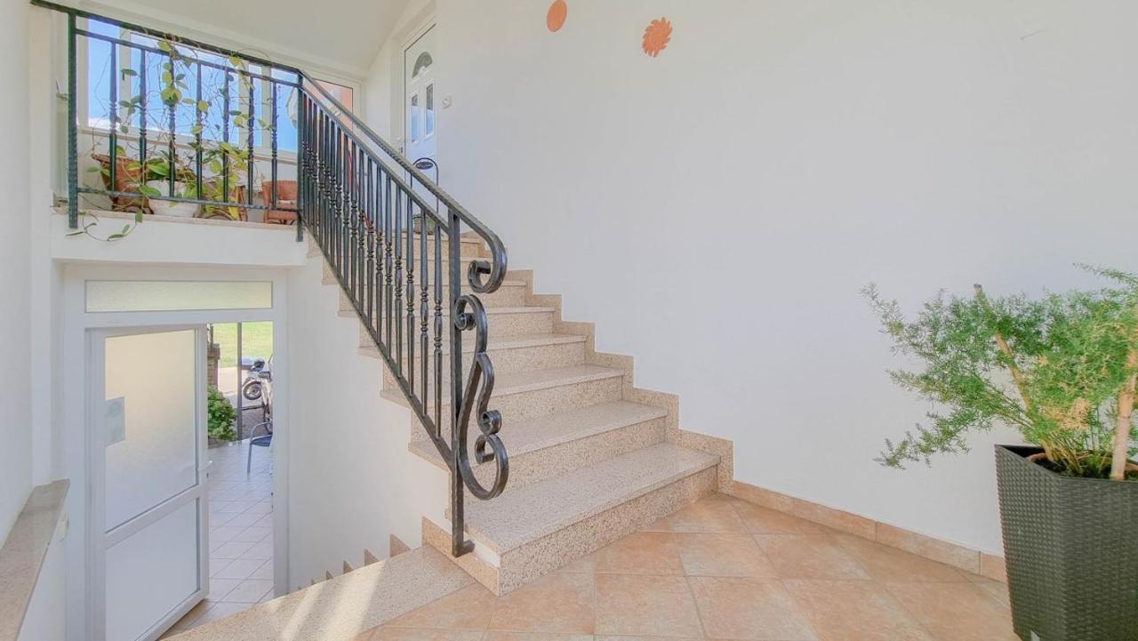 Stelia Daire Novigrad Istria Dış mekan fotoğraf