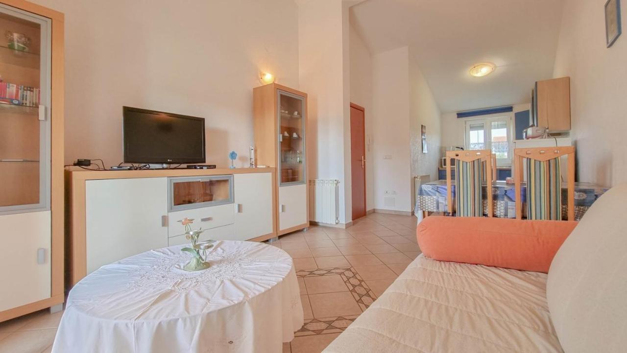 Stelia Daire Novigrad Istria Dış mekan fotoğraf